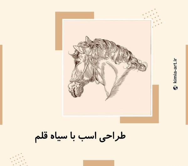 عکس نقاشی سیاه قلم سر اسب
