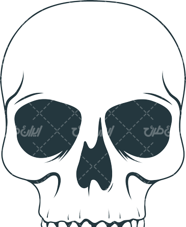 عکس نقاشی سیاه قلم اسکلتی