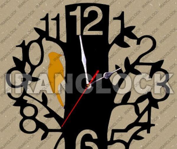 عکس هدهد مارکت