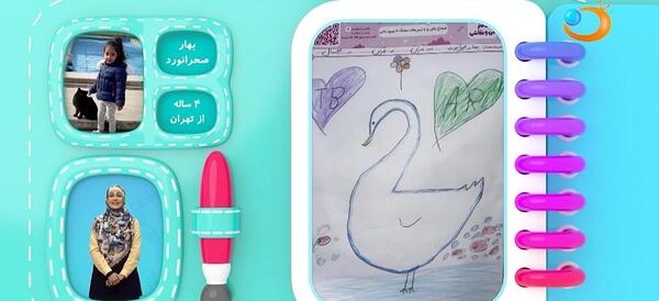 عکس هدهد مارکت