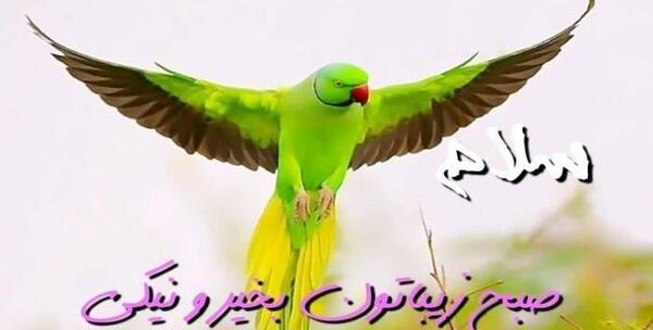 عکس های از موفقیت
