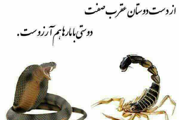 عکس مار کبرا برای پروفایل