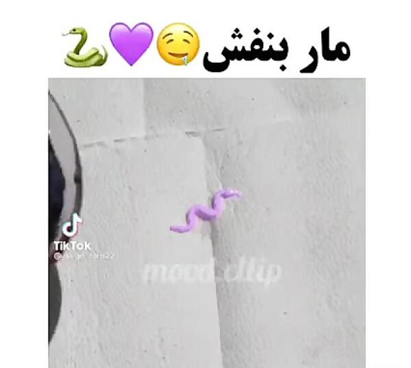 عکس مار کبرا بنفش