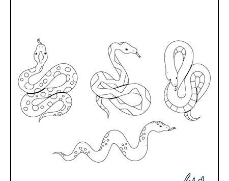 عکس مار برای نقاشی کودکان