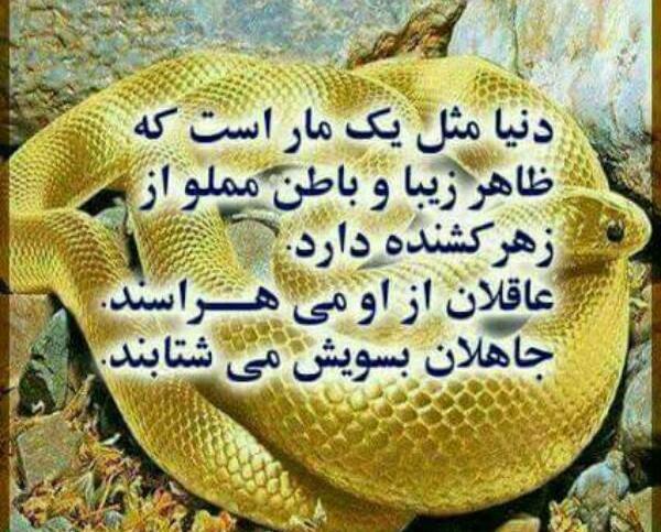 عکس پروفایل مار زخمی