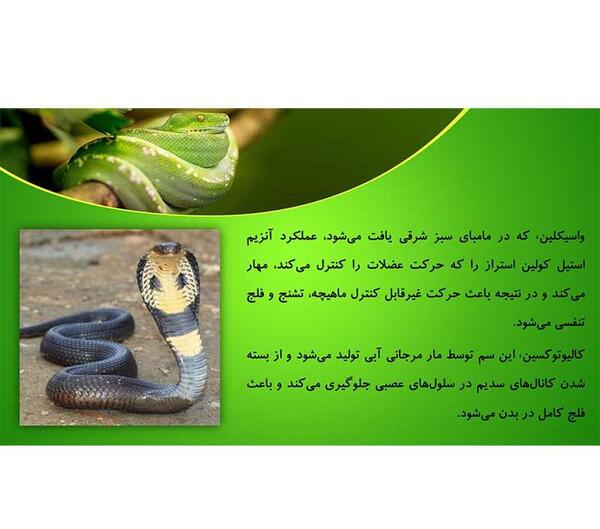 عکس پروفایل مار زخمی