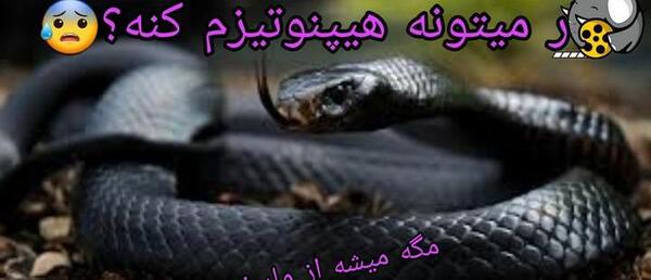 عکس پروفایل مار زخمی