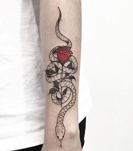 عکس خالکوبی مار ساده