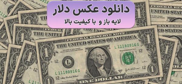 عکس دلار و ثروت