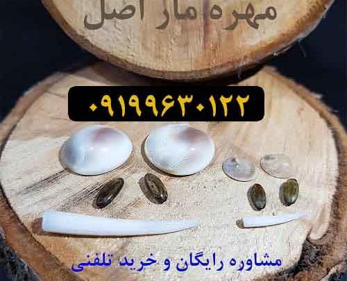 عکس مهره مار مامبای سیاه افریقایی