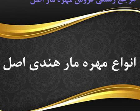 عکس مهره مار مامبای سیاه افریقایی