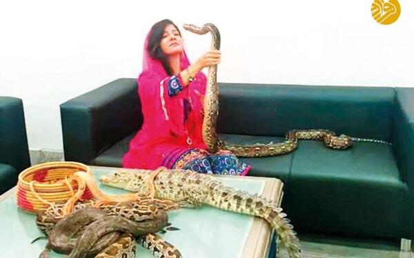 عکس مار شیر