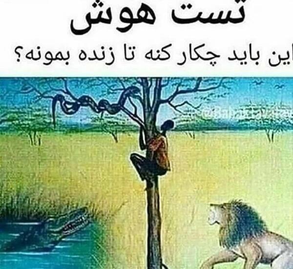 عکس جنگ مار و شیر