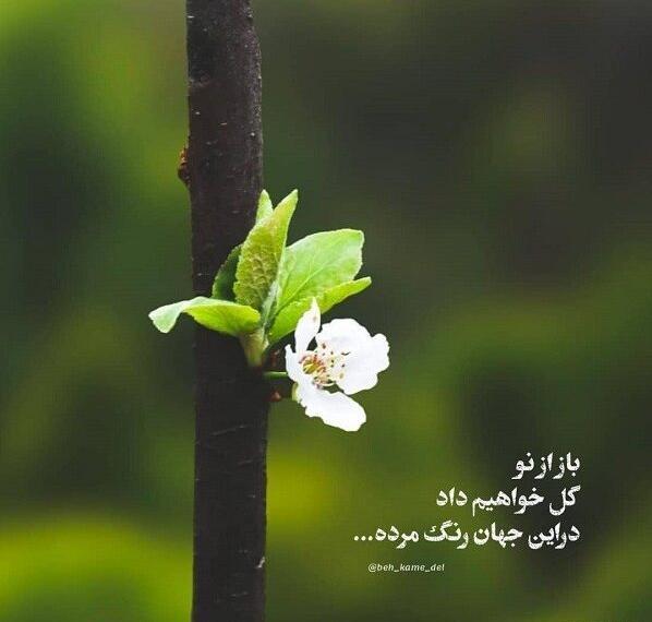 عکس های انگیزشی رنگی رنگی