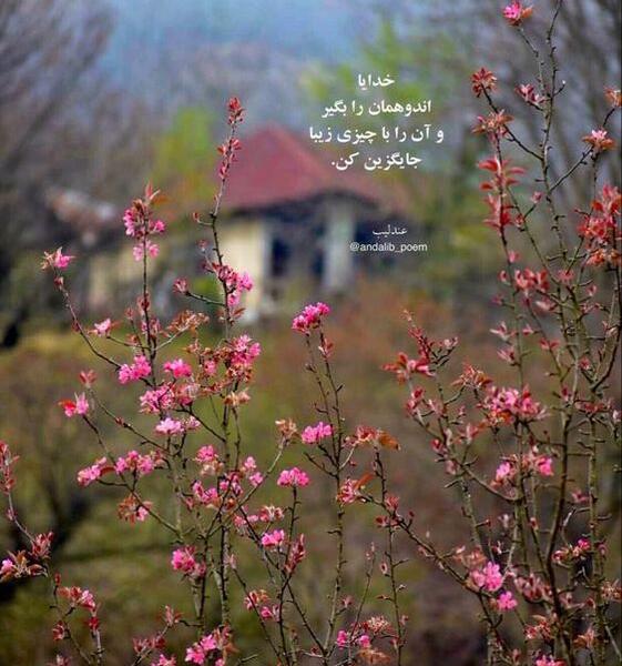 عکس انگیزشی برای صبح بخیر