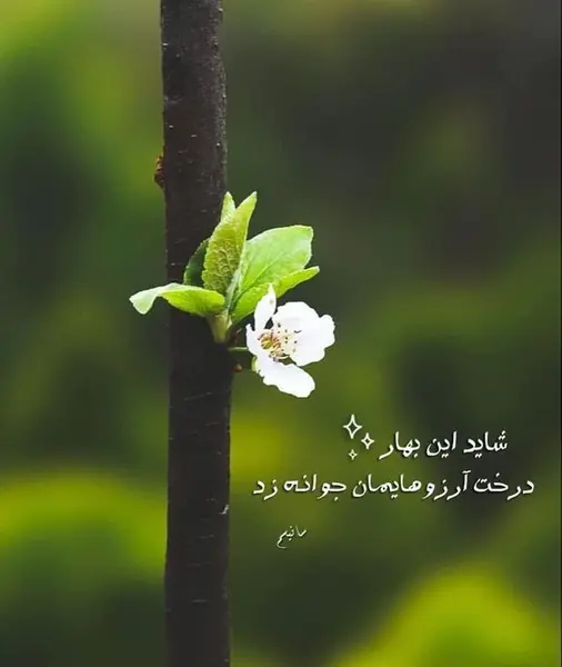 عکس زیبا انگیزشی بدون متن