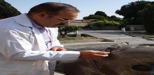 عکس شیر سنگی پل خواجو