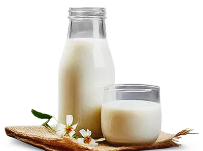 عکس شیر شیر خوردنی
