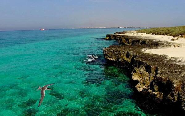 عکس جزیره ی مار