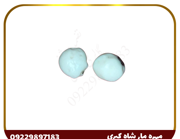 عکس مهره مار نر
