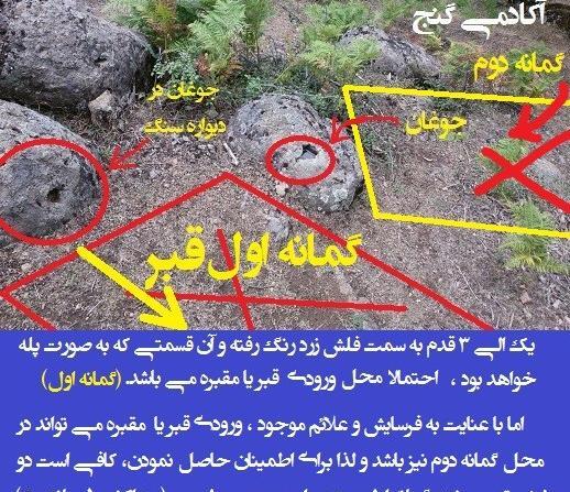 عکس مار محافظ گنج