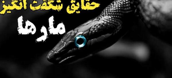 عکس مار های عجیب و غریب