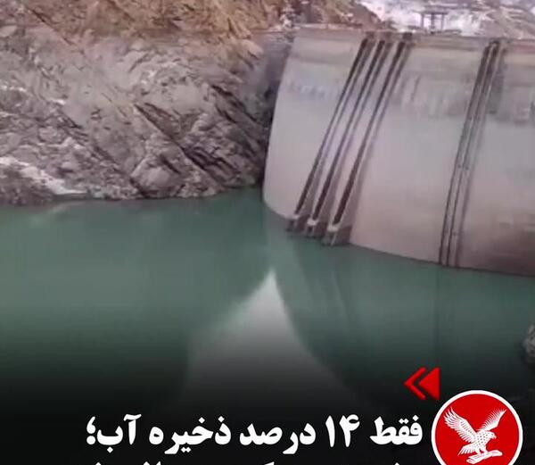 عکس بزرگترین مار جهان در سد کرج