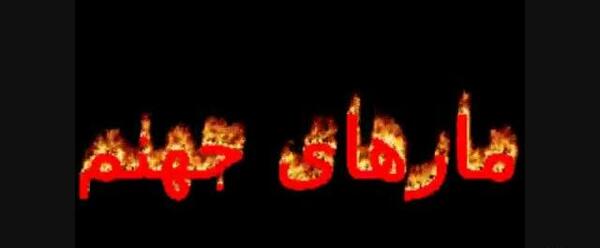 قیامت جهنم عکس مار در قبر