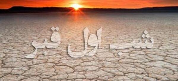عکس مار تو قبر