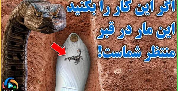 عکس مار توی قبر