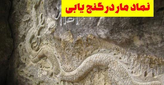 عکس مار توی قبر