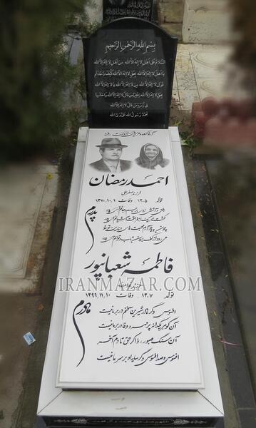 عکس مار توی قبر