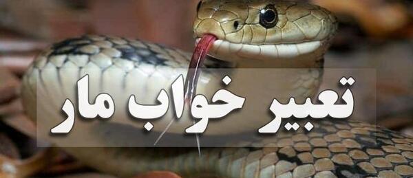 عکس تیرک مار