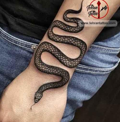 عکس تاتوی مار