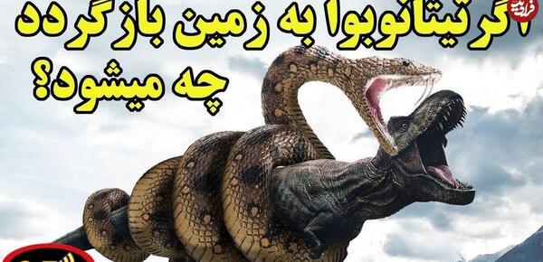 عکس بزرگترین مار ترسناک