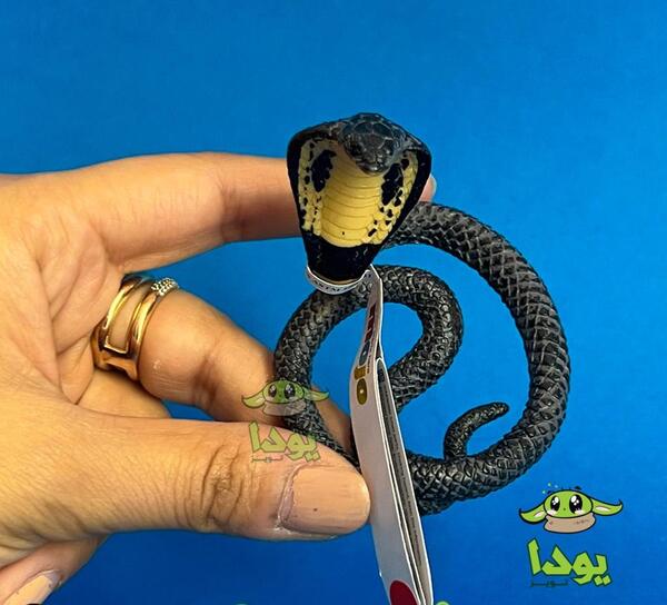 عکس مار پلاستیکی واقعی