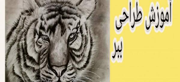عکس نقاشی سیاه قلم ببر ساده
