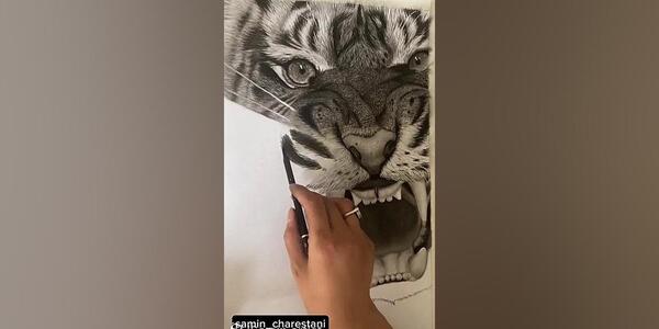 عکس نقاشی سیاه قلم ببر ساده