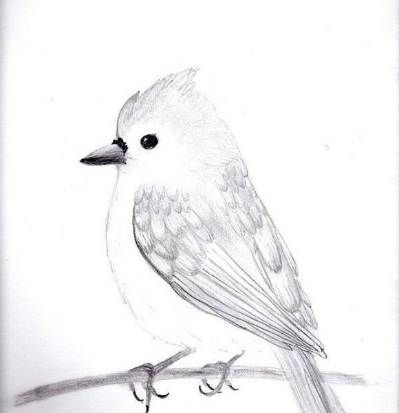 عکس نقاشی سیاه قلم کودکانه ساده