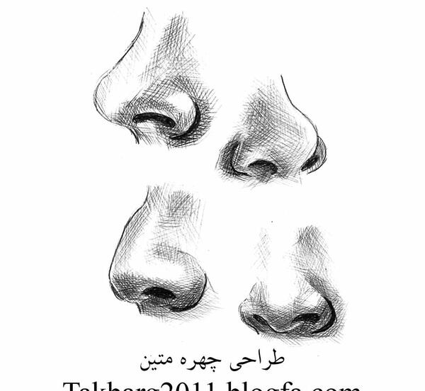 آموزش نقاشی سیاه قلم بینی