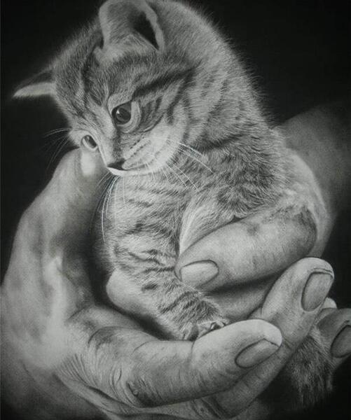 عکس نقاشی سیاه قلم پرنده ها