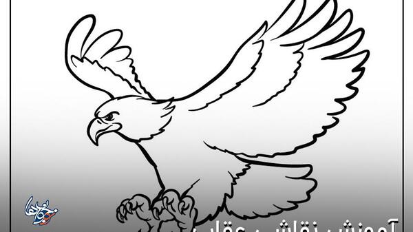 عکس نقاشی سیاه قلم پرنده عقاب