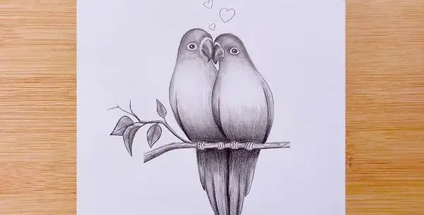 عکس نقاشی سیاه قلم از پرنده