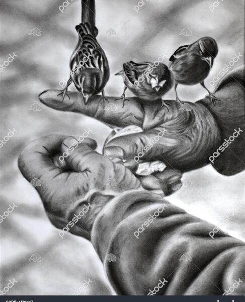 عکس نقاشی سیاه قلم از پرنده