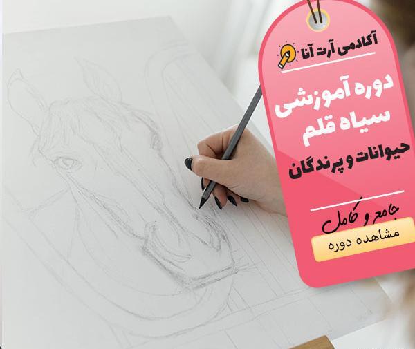 عکس طرح نقاشی سیاه قلم پرنده