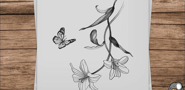 عکس نقاشی سیاه قلم پروانه آسان