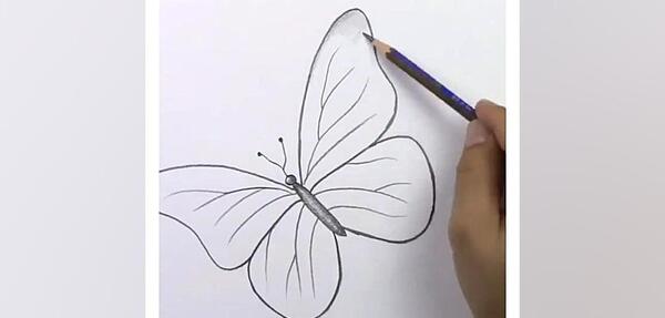 عکس نقاشی سیاه قلم پروانه آسان