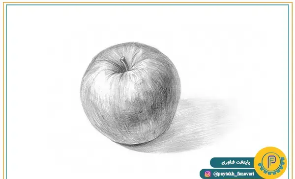 عکس نقاشی سیاه قلم جنگل آسان