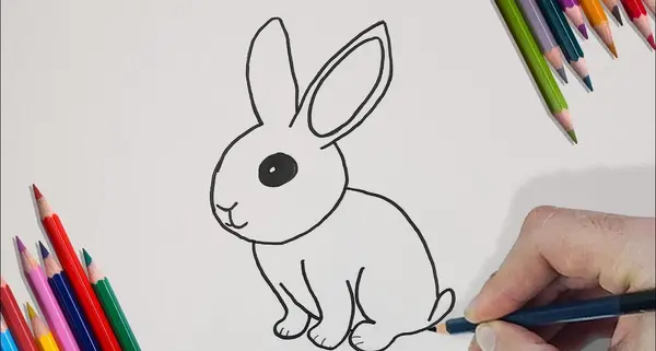 عکس نقاشی سیاه قلم خرگوش آسان