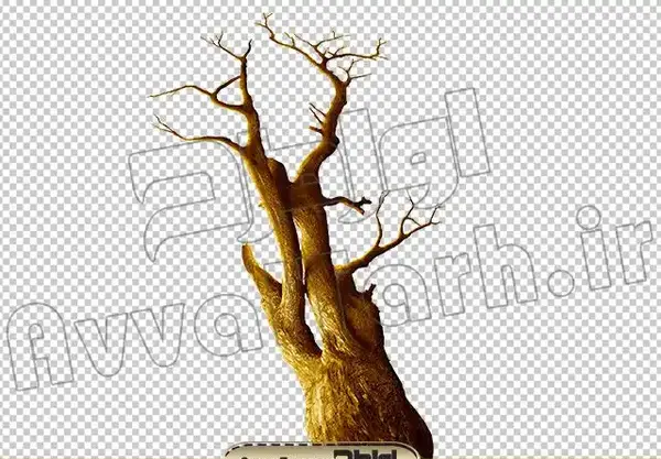 عکس نقاشی سیاه قلم درخت خشک